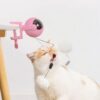 emily pets Interactive Cat Toy with Removable Fluffy Ball – Automatic Teasing Ball with Clamp for Table/Cat Tree, Indoor Cat Entertainment Toy for Kittens & Cats, Easy Install (Pink)