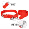 SNOOKUM Dog Leash Collar Set Size 0.50 Dog Collar & Leash (Extra Small, Nylon Leash & Collar Set Size 0.50 INCH) Color May Vary