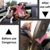 Foodie Puppies Dog Car Seat Belt for Small Medium Size Pets, Adjustable Safety Heavy Duty Elastic Lead Harness for Cars with Elastic Nylon (Tether Leash 70cm)