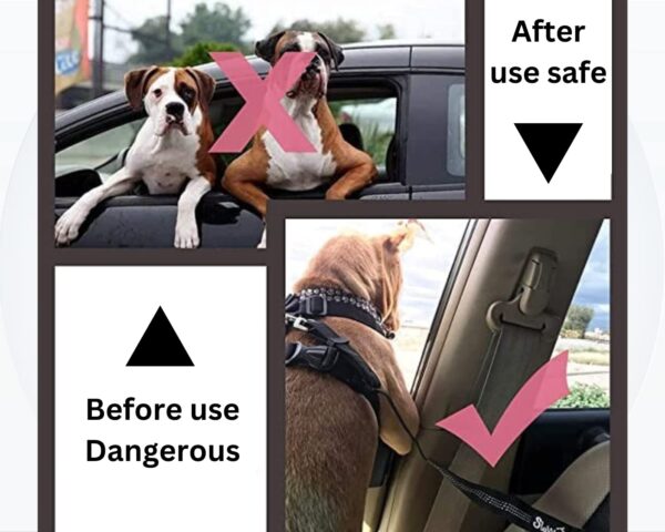 Foodie Puppies Dog Car Seat Belt for Small Medium Size Pets, Adjustable Safety Heavy Duty Elastic Lead Harness for Cars with Elastic Nylon (Tether Leash 70cm)