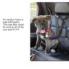 612YqXyx-tL._SL1500_.jpg 2 PCS Dog Seat Belt, Adjustable Car Safety Leash for Pets, Convertible Vehicle Restraint with Secure Lock, Dual Use Harness for Medium to Large Dogs, Travel Accessories (Black & Purple)