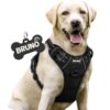 No-Pull Dog Harness with Custom Name Tag | Adjustable Reflective Pet Vest for Medium & Large Dogs | Soft Padded, Front & Back Leash Clip (Midnight Black, Medium)