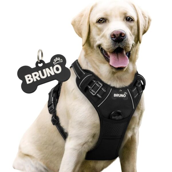 No-Pull Dog Harness with Custom Name Tag | Adjustable Reflective Pet Vest for Medium & Large Dogs | Soft Padded, Front & Back Leash Clip (Midnight Black, Medium)