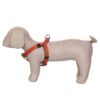 Designer Dog Halter V Harness| Dog Vest Harness| Dog Harness Comes with Orange Color for Small Dogs Regular Harness.