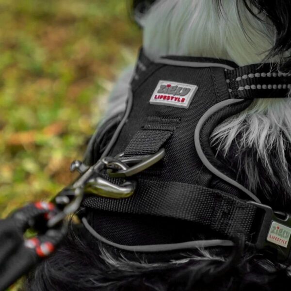 Zigly Lifestyle Shadow Guard Adjustable Dog Body Harness-Small - Black | Padded No-Pull Harness for Small Dogs & Puppies | Comfortable & Secure Dog Harness Daily Walks