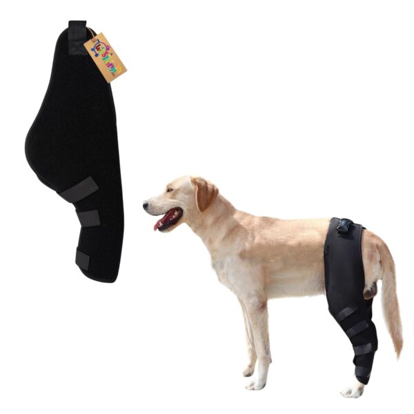 Western Era Dog Disability Leg Support Brace | Rear & Western Era Dog Disability Leg Support Brace | Rear & Front Leg Injury Aid for Arthritis, Mobility, Sprain Recovery | Wrap for Disabled Dogs with Padding | Helps Walking, Balance, Joint Relief (Left)
