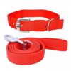SNOOKUM Dog Leash Collar Set Size 0.50 Dog Collar & Leash (Extra Small, Nylon Leash & Collar Set Size 0.50 INCH) Color May Vary