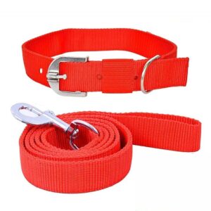 SNOOKUM Dog Leash Collar Set Size 0.50 Dog Collar & SNOOKUM Dog Leash Collar Set Size 0.50 Dog Collar & Leash (Extra Small, Nylon Leash & Collar Set Size 0.50 INCH) Color May Vary