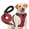Premium Reflective NoβPull Dog Harness with Rope Leash β Adjustable Premium Reflective NoβPull Dog Harness with Rope Leash β Adjustable Vest with Handle & Front/Back Leash Clips | Heavy-Duty, Comfortable Belt for Training, Walking, Hiking (Red, Large)