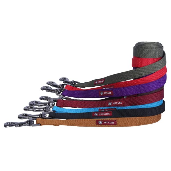 Pets Like Dog Polyester Leash Maroon(20mm) (GE-PL0009D)