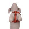 Designer Dog Halter V Harness| Dog Vest Harness| Dog Harness Comes with Orange Color for Small Dogs Regular Harness.