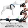 615TcIi3HmL._SL1000_.jpg HANK Dog Harness | 3M Reflective Strap | Dog Body Vest for Medium Dogs | Soft Comfortable Padded | Anti Pull Harness for Walking, Training (Black - M (14-22Kg)