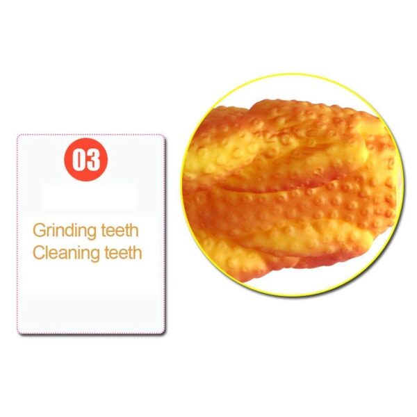 Sage Square Dog Chew Toy Turkey Chicken Interactive Sounding Teeth Pet Training Biting Toys