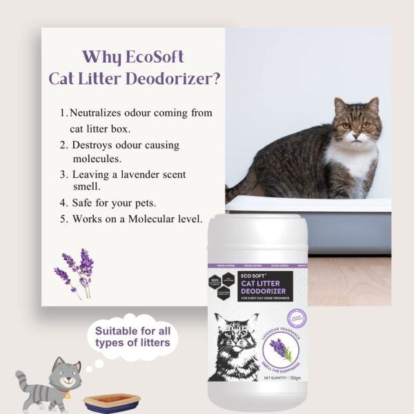 Eco Soft Cat Litter Deodorizer 750gms | Lavender Fragrance | Odour Eliminating Powder | Suitable for All Types of Litter | Longer Lasting Odour Control | Strong Cat Urine Smell Remover
