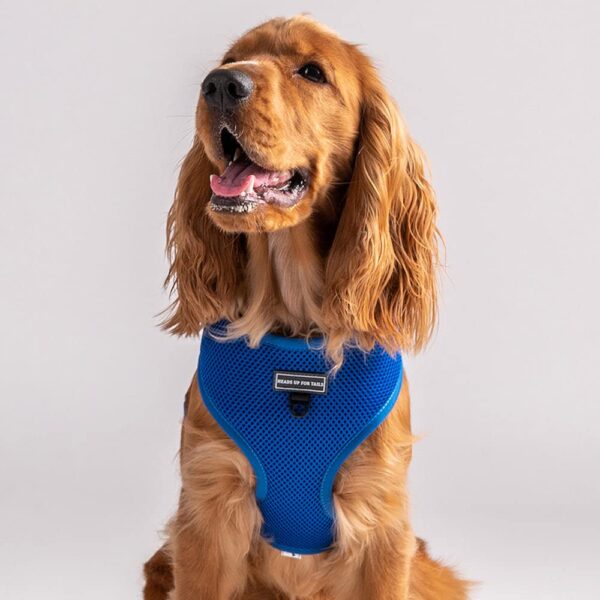 HUFT Classic Mesh Dog Harness - Blue - S: 12.5-18.1"