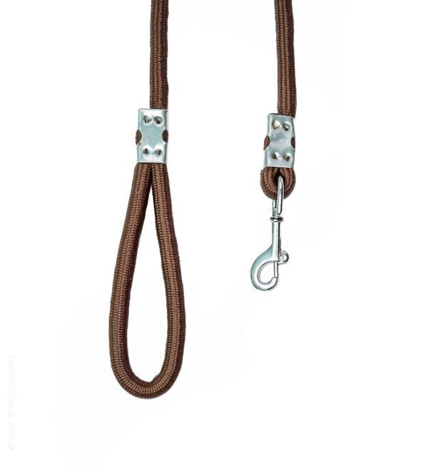 Stainless Steel Nylon Dog Harness with Choke Collar | Adjustable Durable Training & Walking Gear for Small, Medium & Large Dogs