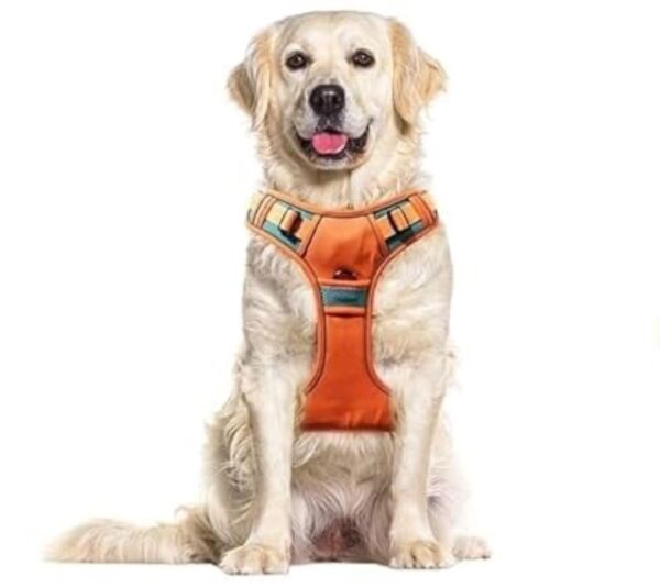 Premium Dog Harness, Adjustable Heavy Duty Belt, Perfect for Training, Walking, Running, Hiking, Comfortable & Secure Fit (Orange,Extra Large)