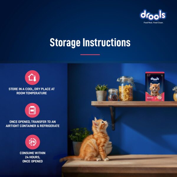 Drools Kitten Cat Wet Mousse 80gm | Salmon | Rich in Protein, Promotes Hydration & Easy to Digest | Grain Free, No Artificial Flavours | Packed with Essential Vitamins & Antioxidants