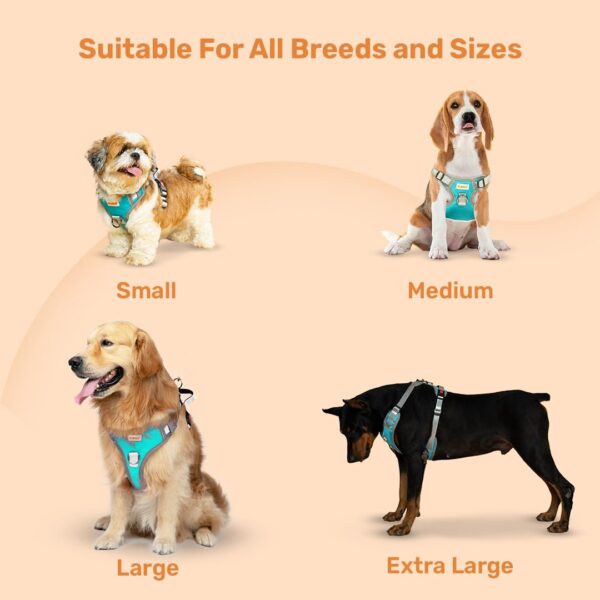 617N6f7DaVL._SL1080_.jpg Premium Reflective Vest Dog Harness | Soft Breathable Mesh and Oxford Nylon Fabric | Padded Control Handle with No Pull Front & Back Clip | Adjustable Strap & Dual Lock Buckle (Small, Sea Green)