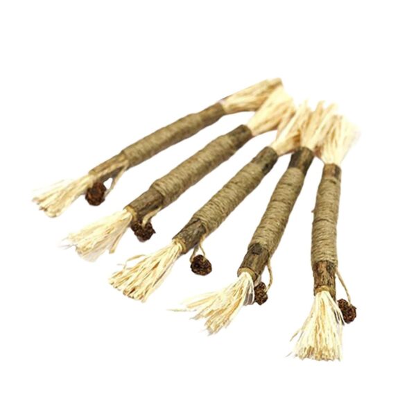 617b1fj0pnL._SL1500_.jpg Fashion My Day® 5Pcs Cat Chew Sticks Catnip Chew Toy Dental Molar Teeth Cleaning Fruit Ball | Pet Supplies| Cats| Toys| Feather Toys | Pet Supplies | Cat Supplies | Toys