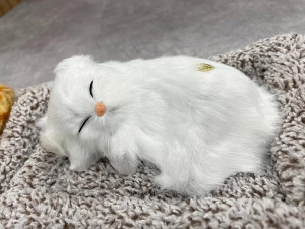 Toyzeeland Cute Sleeping Cat Plush Toy with Meow Sound, Gift for Kids | Car Dashboard Accessories - Random Color