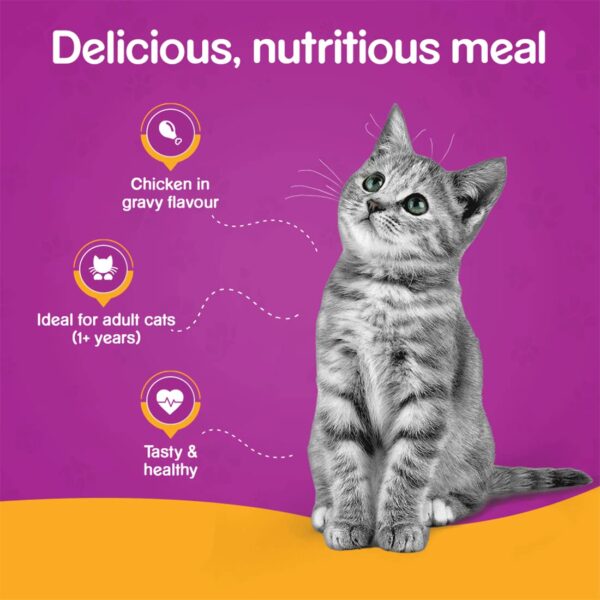 617gmybOWdL._SL1100_.jpg Whiskas Adult (+1 Year) Wet Cat Food, Tuna In Jelly, 24 Pouches (24 X 85G) & Chicken In Gravy, 24 Pouches (24 X 85G), 1 Count