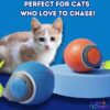 Interactive Cat Toy Ball with Tail | USB-C Rechargeable, No Batteries Required | 360° Rotating Ball for Playing & Excercising | Encourages Cat's Hunting Instincts