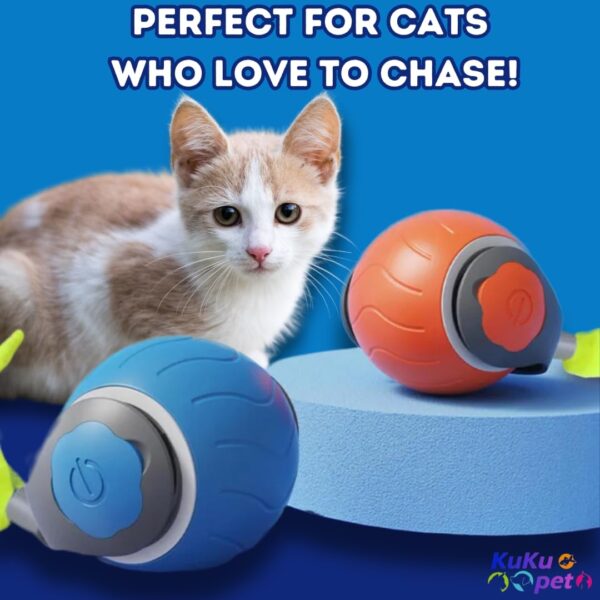 Interactive Cat Toy Ball with Tail | USB-C Rechargeable, No Batteries Required | 360° Rotating Ball for Playing & Excercising | Encourages Cat's Hunting Instincts