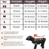 617vYyaW7PL._SL1080_.jpg Lulala Turtleneck Dog Sweater - Winter Coat Apparel Classic Cable Knit Clothes with Leash Hole for Cold Weather, Ideal Gift for Pet in New Year (Black, 8 Inch)