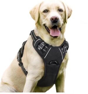 JV No-Pull Dog Harness with Reflective Straps, Padded Air Mesh, JV No-Pull Dog Harness with Reflective Straps, Padded Air Mesh, Adjustable with Top Handle, Black
