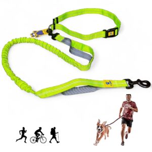 A+a Pets’ 2in1 Bungee Hands-Free Dual Hold Dog Leash | A+a Pets’ 2in1 Bungee Hands-Free Dual Hold Dog Leash | Waist Body Elastic Leash for Running | Adjustable Lightweight Nylon Waterproof Multi-Function Belt Lead (Green)