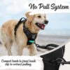 No-Pull Dog Harness with Custom Name Tag | Adjustable Reflective Pet Vest for Medium & Large Dogs | Soft Padded, Front & Back Leash Clip (Midnight Black, Medium)