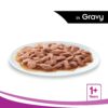 618N50hqGfL._SL1000_.jpg Whiskas Adult (1+ Years) Wet Cat Food, Chicken in Gravy Flavour, 6 x 85 g Pouches