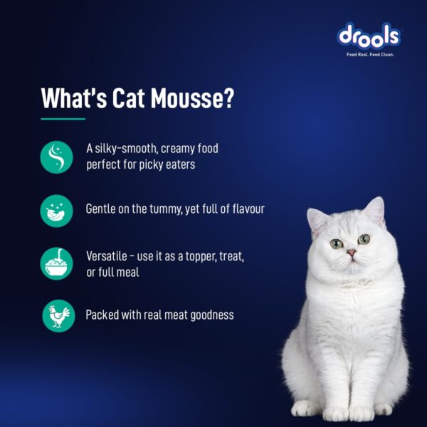 Drools Adult Cat Wet Mousse 80gm | Tuna | Rich in Protein, Promotes Hydration & Easy to Digest | Grain Free, No Artificial Flavours | Packed with Essential Vitamins & Antioxidants