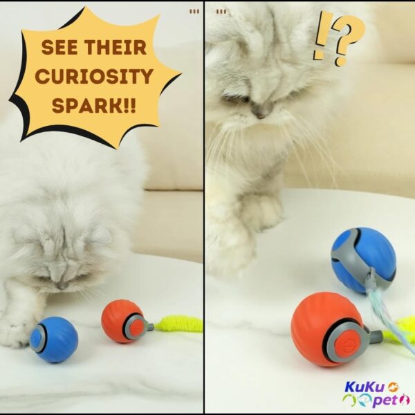 Interactive Cat Toy Ball with Tail | USB-C Rechargeable, No Batteries Required | 360° Rotating Ball for Playing & Excercising | Encourages Cat's Hunting Instincts