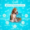 6192q07NHYL._SL1080_.jpg Himalayan Yak Stick Dog Treat | 100% Natural Vegetarian Yak Cheese Chew | Protein & Calcium-Rich Dental Hygiene Snack | Long-Lasting Chew for All Breeds & Life Stages