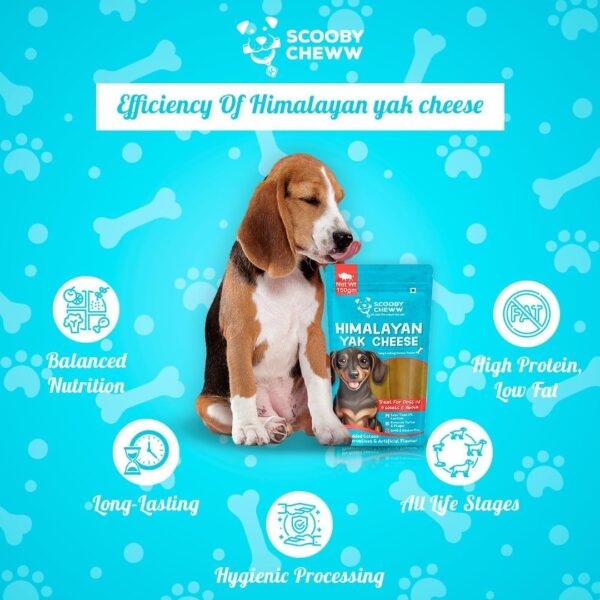 6192q07NHYL._SL1080_.jpg Himalayan Yak Stick Dog Treat | 100% Natural Vegetarian Yak Cheese Chew | Protein & Calcium-Rich Dental Hygiene Snack | Long-Lasting Chew for All Breeds & Life Stages