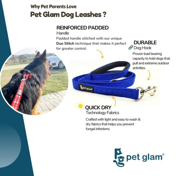 619Qv5rK3FL._SL1080_.jpg Dog Leash for Large Dogs-Loki-for Big Dogs-with Padded Handle-5 Ft Long 1 inch Wide
