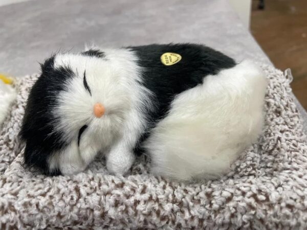 Toyzeeland Cute Sleeping Cat Plush Toy with Meow Sound, Gift for Kids | Car Dashboard Accessories - Random Color