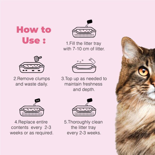 Clumping Cat Litter – Baby Powder Scent, Scoopable, Low Dust, Hard Clumps – All Breed Cats, Long-Lasting Odor Control, Easy to Clean (10 kg, Pack)