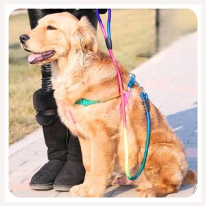 A+a Pets' Harness and Leash Set, Colourful Combo in Rainbow A+a Pets' Harness and Leash Set, Colourful Combo in Rainbow for Cats and Dogs (L/XL Rainbow)