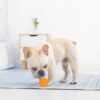 61A0EPmNmWL._SL1500_.jpg Woofy EETOYS Durable Dog Spike Ball, Squeaker Spiky Ball Squeaky Dog Toy for Tooth Cleaning, Training, Play Fetch, Boring - Orange Color Large Size