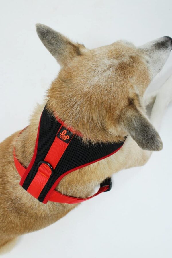 61A4PON-ihL._SL1200_.jpg Lana Paws Breathable, Comfortable & Sturdy Mesh Harness for Dogs, S, Black