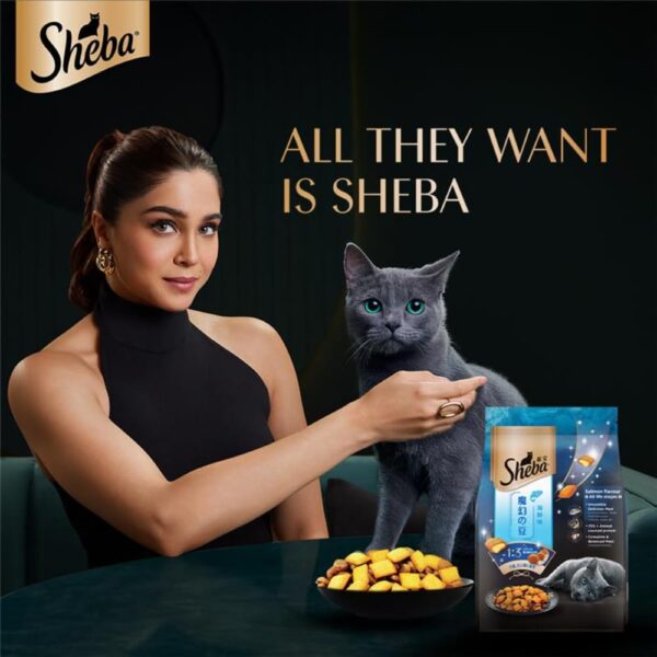 Sheba Kitten and Adult, Irresistible Dry Cat Food, Salmon Flavour, 1.5 kg, Contains 41 Essential Nutrients, Complete & Balanced Nutrition