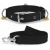 Dog Collar Belt and Leash Set for Large Dogs, Dog Stylish Nylon Leash Belts with Bell - Labrador, Golden Retriever, Pitbull, German Shepherd, Husky, Doberman (Large, Black)