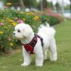 61AkFTqTy4L._SL1024_.jpg HANK Dog Harness | 3M Reflective | Body Vest for Small Dogs | Soft Comfortable | Adjustable Buckles | No Pull Harness for Training, Walking (Red - S (4-13Kg)