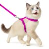 Buraq Basic Full Body Cat Harness with Leash Set for Walking | Escape Proof | Adjustable & Durable for Cats (Dark Pink)