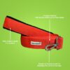 Tarbooj Premium Adjustable Durable Training Collar and Leash Set for Dogs and Puppies | Red | Medium