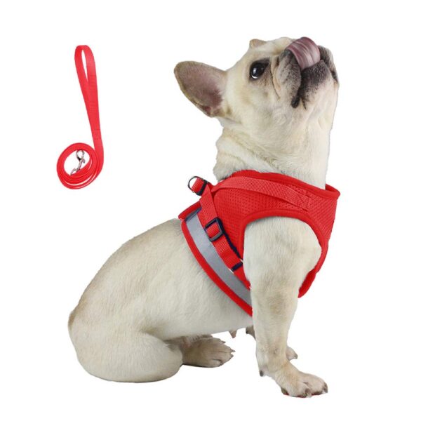 Qpets® Dog Vest Harness for Large Dogs with 1.2m Leash, Qpets® Dog Vest Harness for Large Dogs with 1.2m Leash, Breathable Mesh Fabric, Reflective Strips, Adjustable Size (XL, Red)
