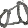 Trixie Premium H-Harness Belt for Dogs, Stylish Design, Adjustable Webbing Tape, Strain Relief, Lightweight & Adjustable Straps (S-M, Graphite)